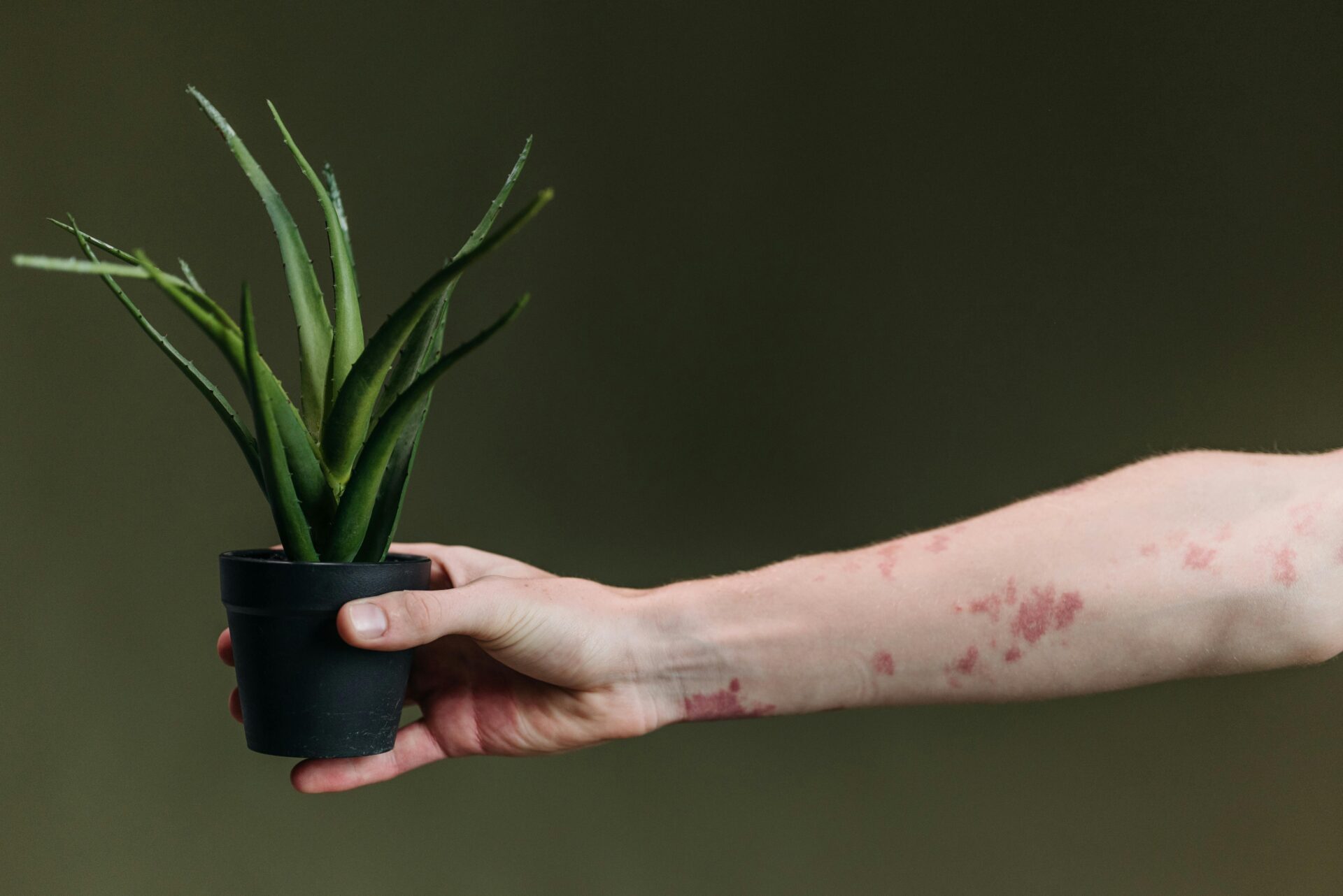 Poison ivy identification in Rock Hill and Fort Mill.